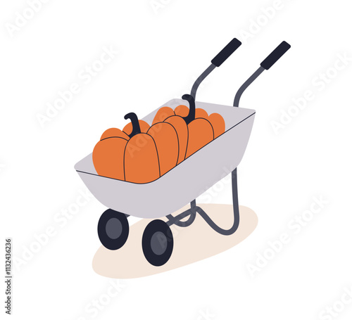 Wheelbarrow with orange pumpkins. Autumn harvest, fresh organic farm produce ...