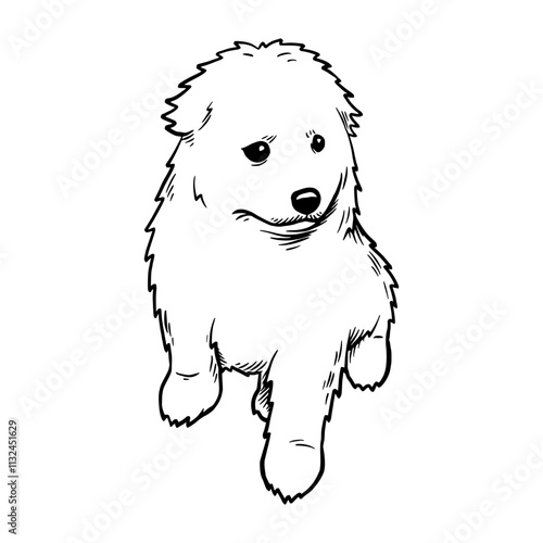 Puppy Samoyed Laika - Dog Breed, Puppy Breed Vector File, detailed vector