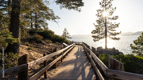 wooden bridge in the forest