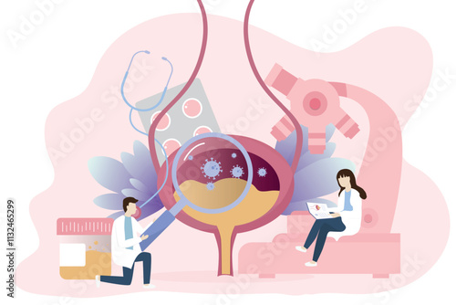  Bladder infection concept. The doctor examines and diagnoses urinary tract disease. Urinary Tract Infections Virus in the bladder. Infection and inflammation of internal organ.