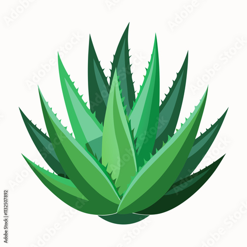 aloe Vera plant vector white background