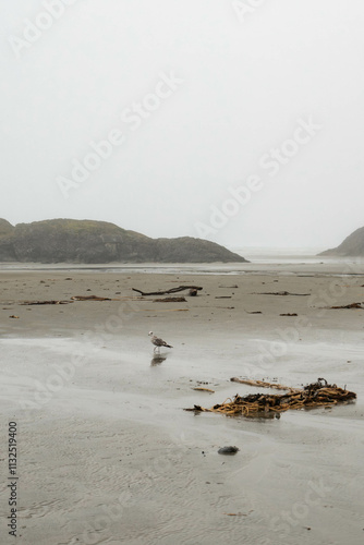 Chesterman beach all foggy on a moody, cloudy day. Near Tofino, Vancouver Island, British Columbia, Canada photo