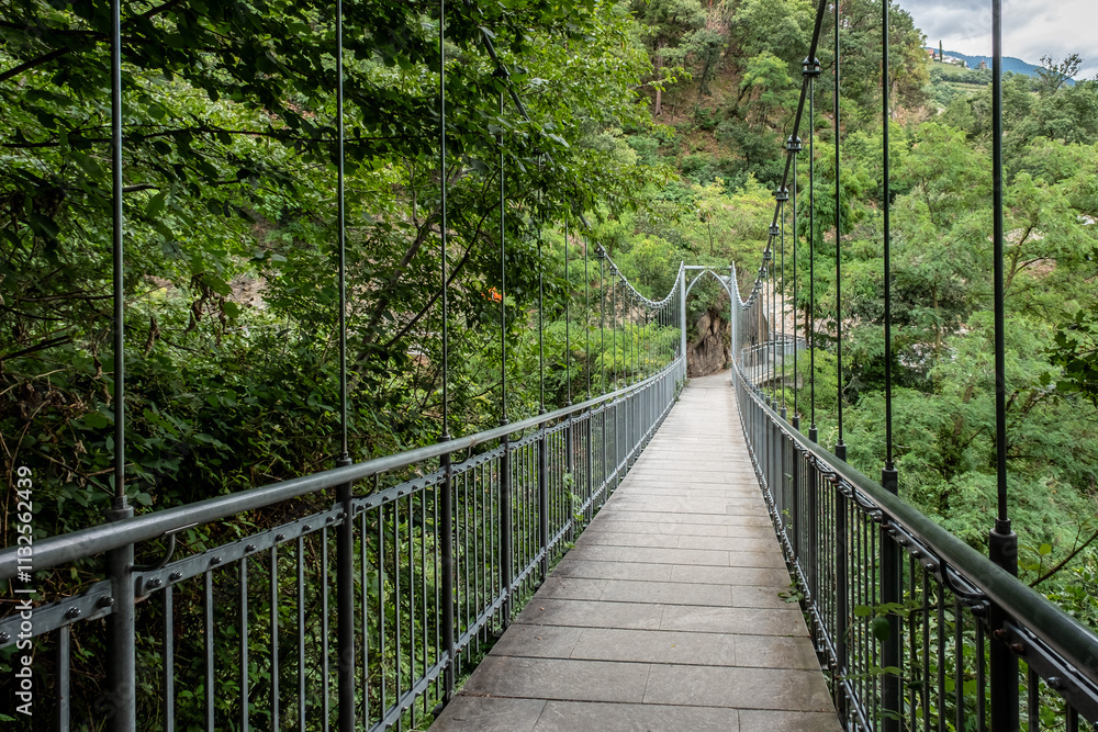 Fototapeta premium Brücke auf dem Algunder Waalweg