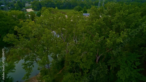 Drone shot flying up over forest to reveal I75 bridge over the huron river photo