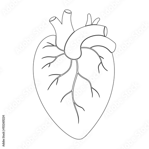 Minimalist Human Heart Single Line Drawing - Modern Medical Art Design