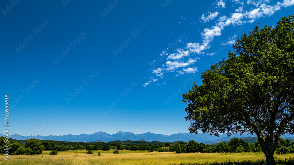 Fototapeta premium The blue sky, wallpaper, the bright colors of beautiful nature
