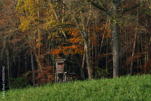 View to Autumn Forest and a hunters seat with a colorful background and a green meadow foreground