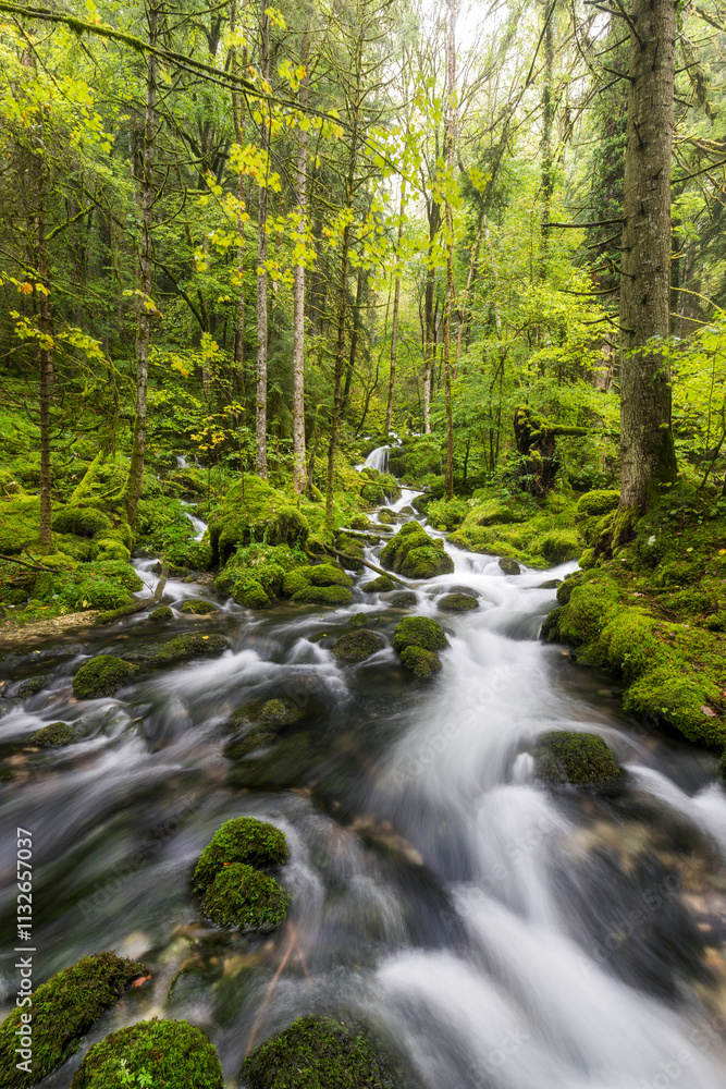 Obraz premium Zufluss der Orbe, Vallorbe, Waadt, Schweiz