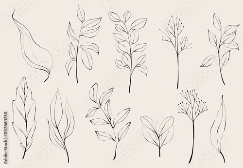 Line Art Leaves. Floral Hand Drawn Illustration. Leaf Line Art. Black and White Botanical Delicate Branch.