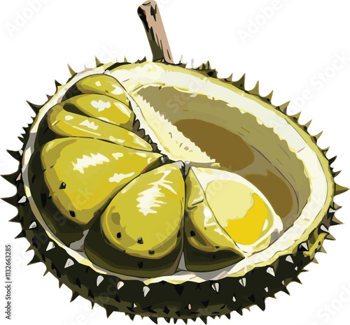 Durian and Flesh Fruit Illustration