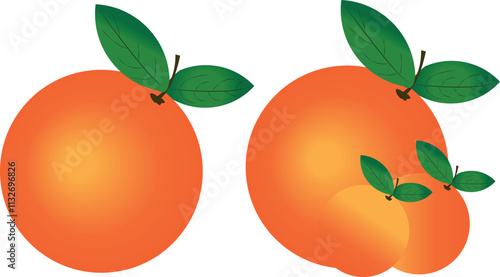 Set of Orange Fruits with Green Leaves Vector Illustration on a Transparent Background.