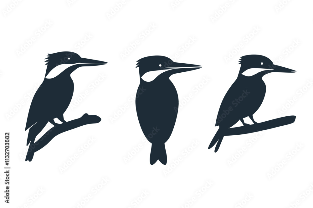 Fototapeta premium Woodpecker silhouettes, three distinct poses, showcasing bird anatomy and posture, minimalist design, vector illustration, isolated, flat