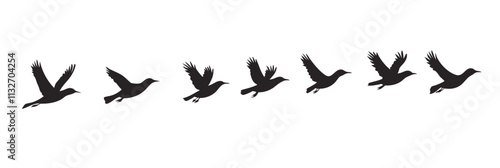 Birds in flight sequence, silhouettes depicting movement and grace, showcasing various stages of takeoff and flight, vector illustration, isolated, flat