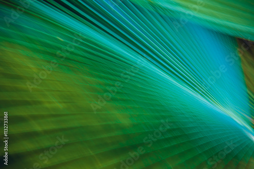 Long exposure abstract art. Photography with camera movement. Fuzzy lines of natural plants.