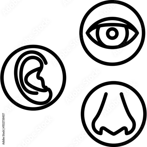 Sensory Strengthening Icon