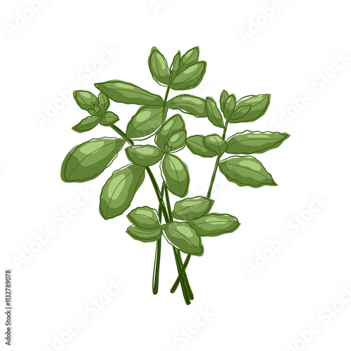 Green leaves of mint. Fresh herbal with green. For menu, packaging, cooking book, web or label design vector illustration in flat style.