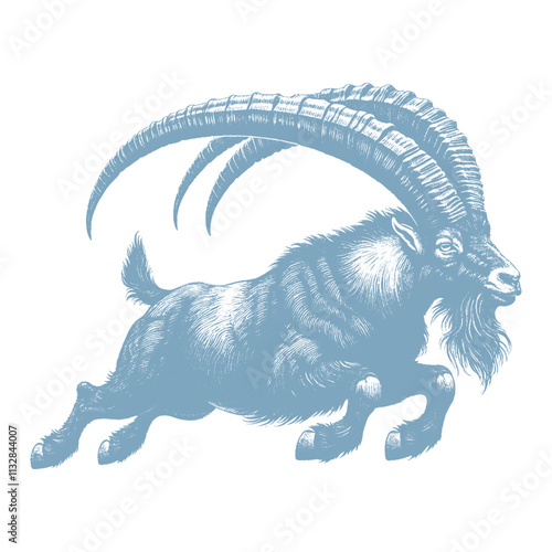 Goat Vector, bezoar ibex goat  vector