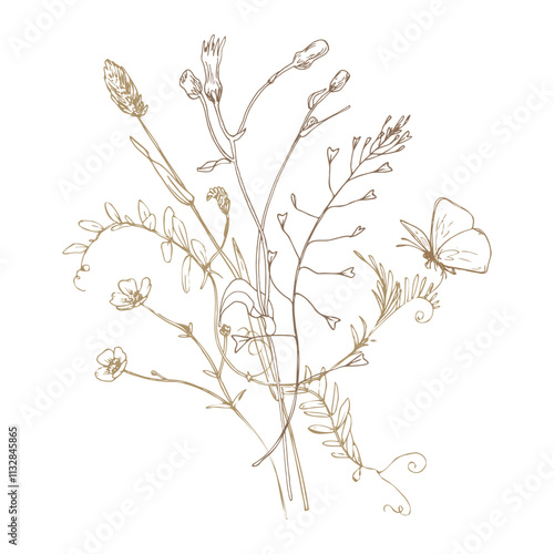 Field, wild flowers and herbs cosmos, buttercups, dandelion, mouse pea with a butterfly. Line art is a simple hand-drawn illustration in beige, ochre, brown ink. Bouquet flowers vector EPS