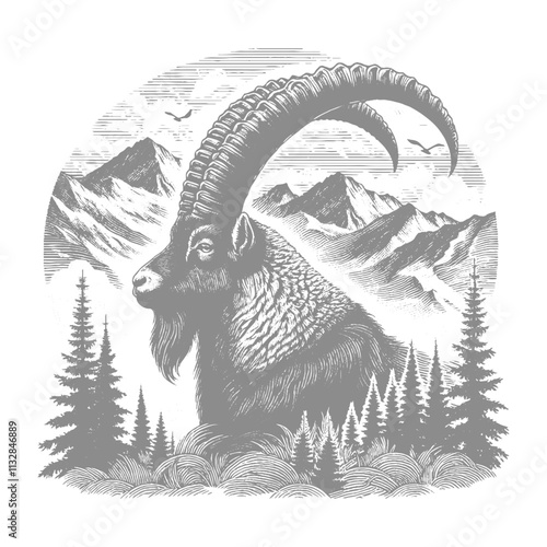 Goat Vector, bezoar ibex goat vector