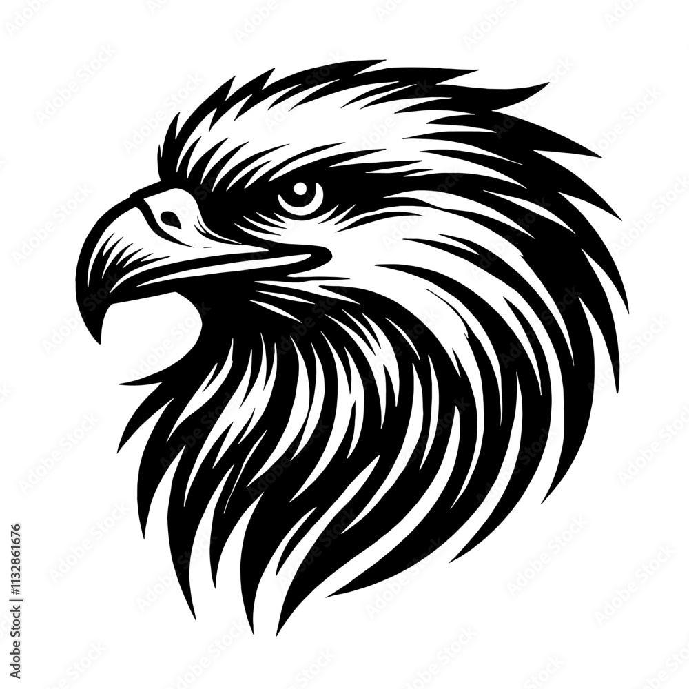 Fototapeta premium Eagle head vector illustration.