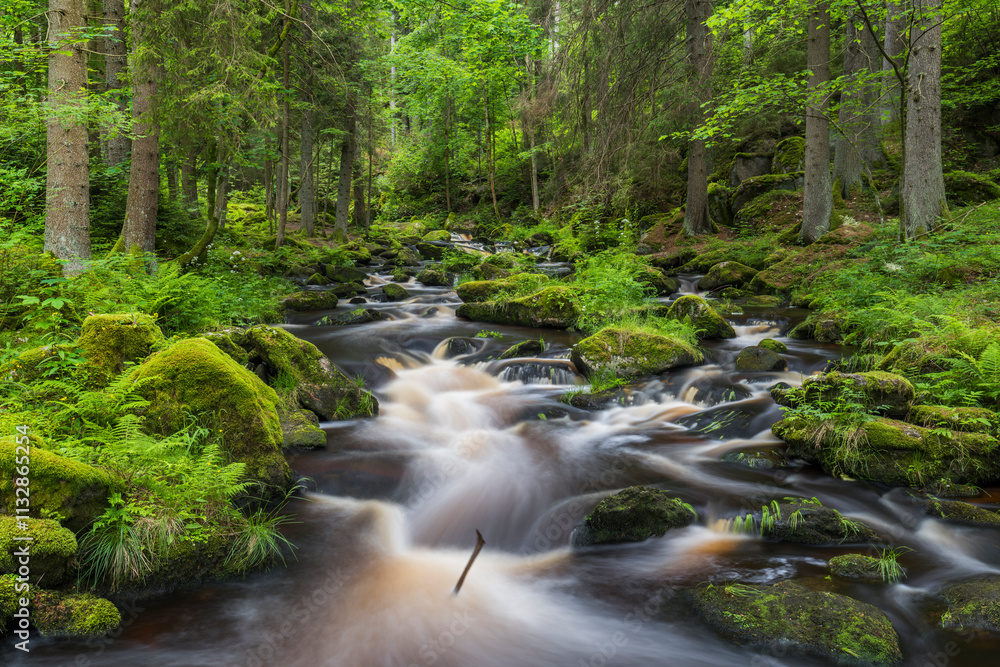 Obraz premium Höllfall, Großer Kamp, Waldviertel, Niederösterreich, Österreich