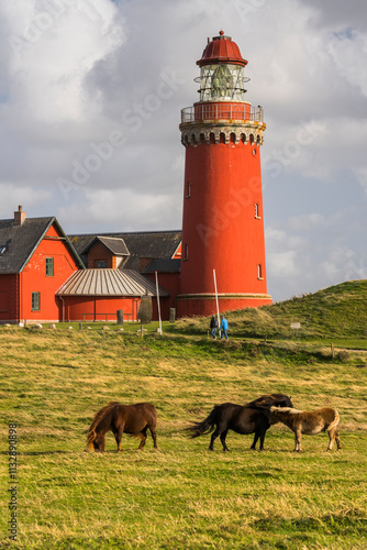 Pferde vor dem Bovbjerg Leuchtturm, Lemvig, Ringkjobing, Dänemark photo