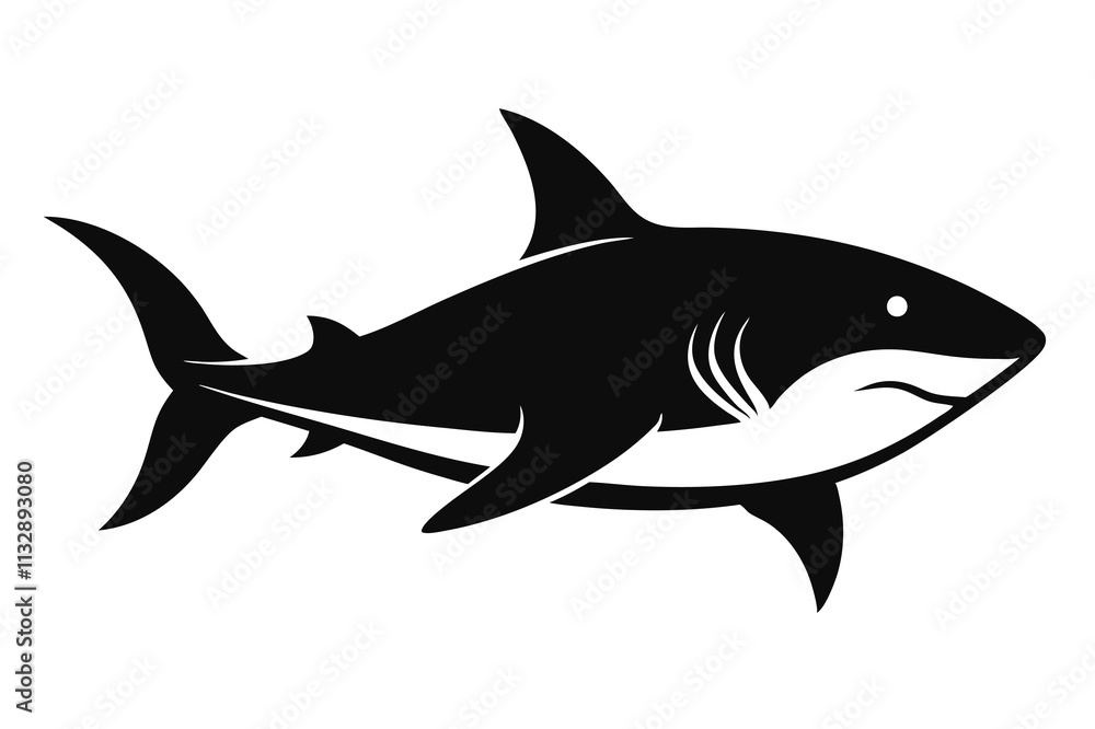 Shark silhouette vector illustration on white background Shark silhouette vector illustration on white background