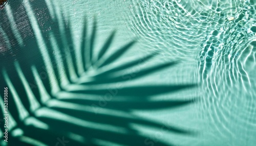 palm leaf shadow from above over  water surface with sunlight reflection topview abstract background for travel beach vacation and wellbeing