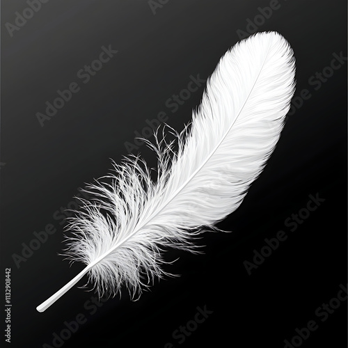 White Feather on Transparent Background for Delicate and Elegant Designs. photo