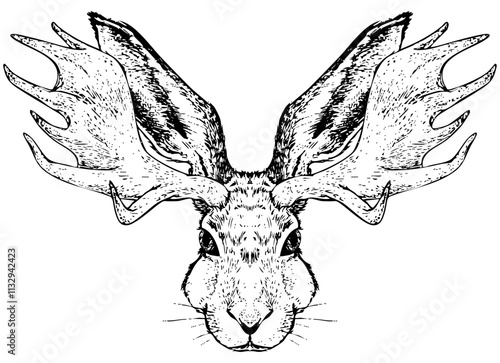 Jackalope | handdrawn black & white illustration converted to vector