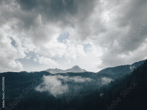 Mystische Waldlandschaft mit Nebel und dramatischen Wolken