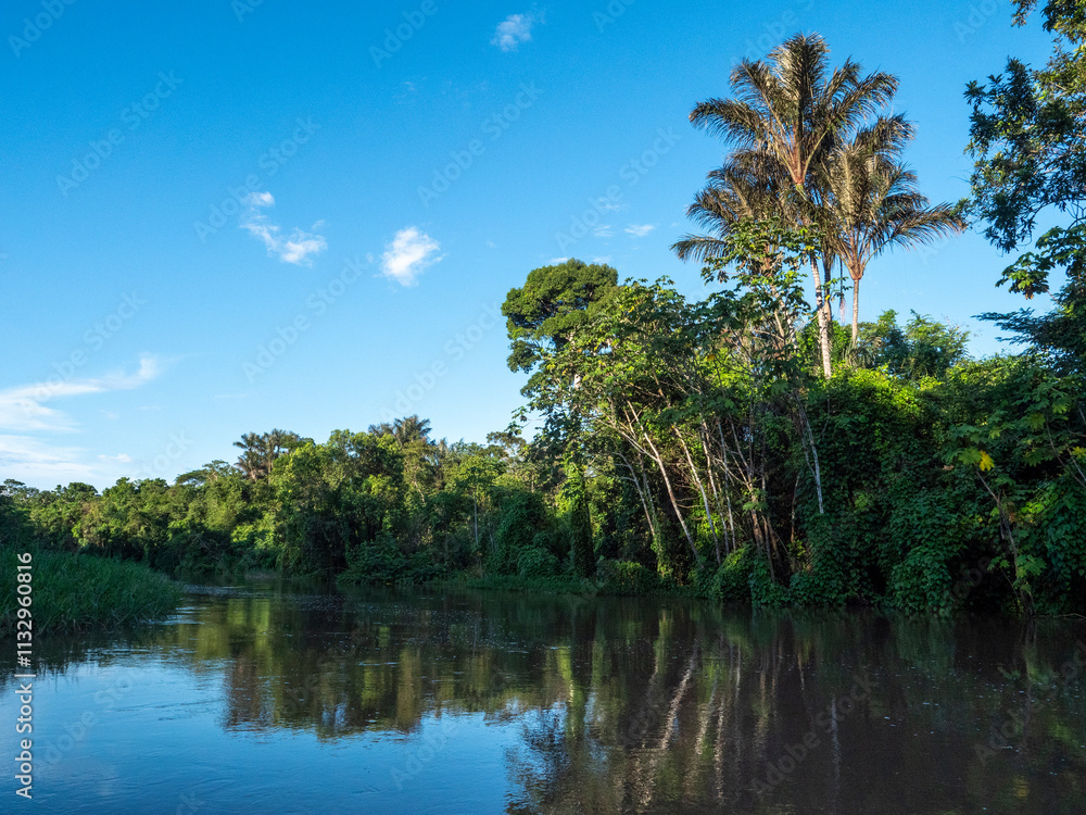 Fototapeta premium Amazon river landscape near the town of Tefè.