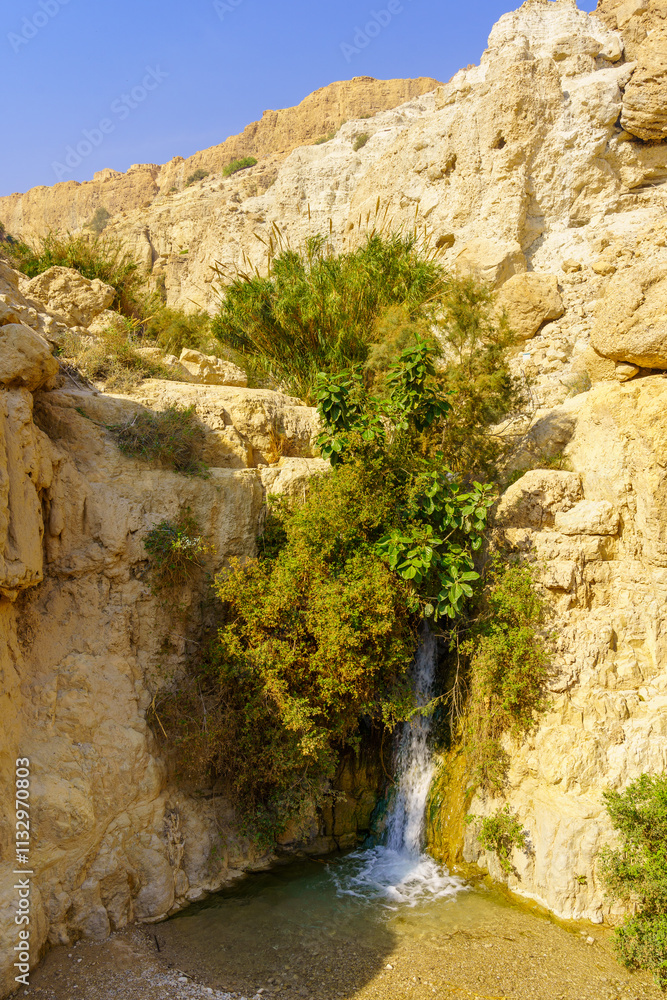 Lower waterfall, David stream, Ein Gedi Nature Reserve