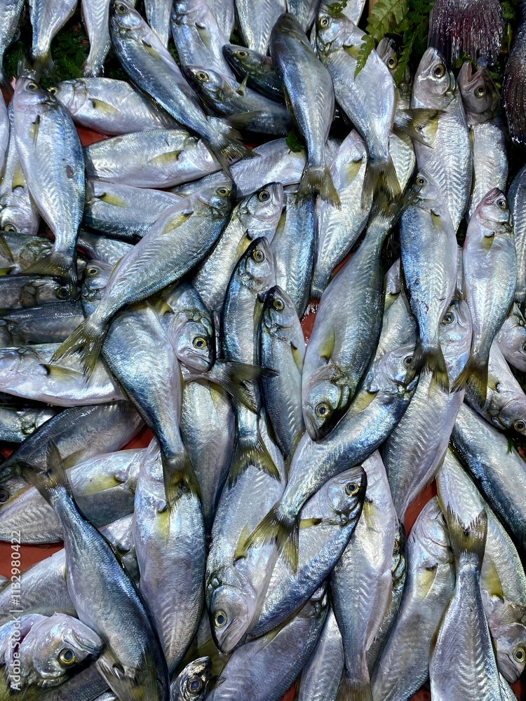 Obraz premium fresh fish on ice