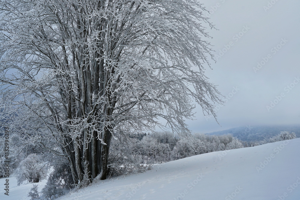 Fototapeta premium A beautiful winter landscape in the Lusatian mountains in northern Bohemia
