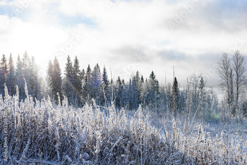 Neuschnee in einer Naturlandschaft in Schweden mit Blick auf See und blauem H...