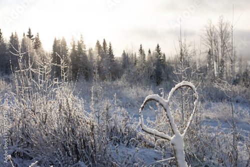 Neuschnee in einer Naturlandschaft in Schweden mit Blick auf See und blauem H...