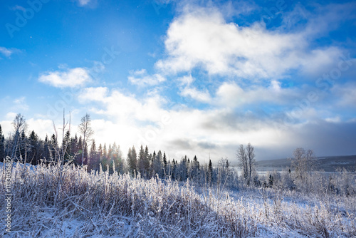 Neuschnee in einer Naturlandschaft in Schweden mit Blick auf See und blauem H...