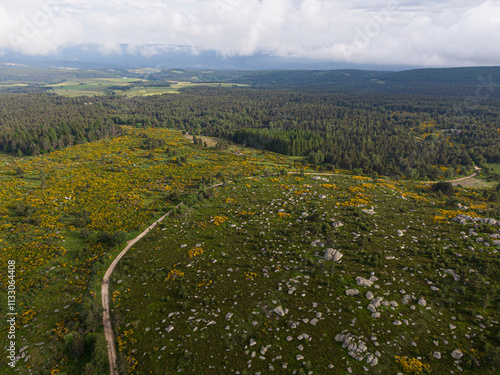 Drone capturing a wide shot of yellow flowers blooming over a mountain agropastoral landscape of the Cevennes photo