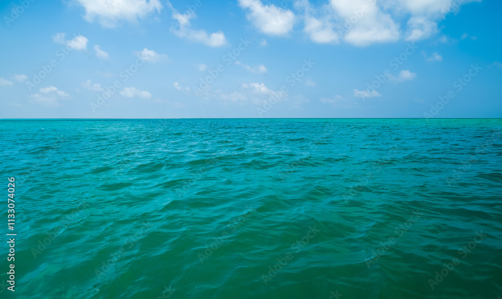 Obraz premium Generated image