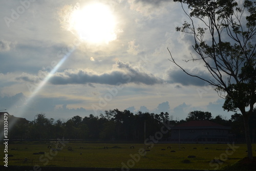 sunset, sky, sun, clouds, sunrise, cloud, nature, landscape, orange, light, evening, dark, blue, dusk, morning, red, summer, trees, sunlight, horizon, tree, yellow, beautiful, night