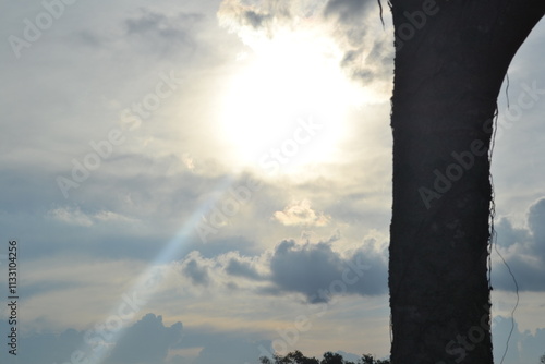sunset, sky, sun, clouds, sunrise, cloud, nature, landscape, orange, light, evening, dark, blue, dusk, morning, red, summer, trees, sunlight, horizon, tree, yellow, beautiful, night