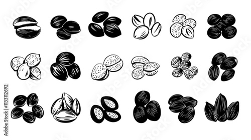 Collection of nuts and seeds placed side by side in rows, Culinary Vector Graphic