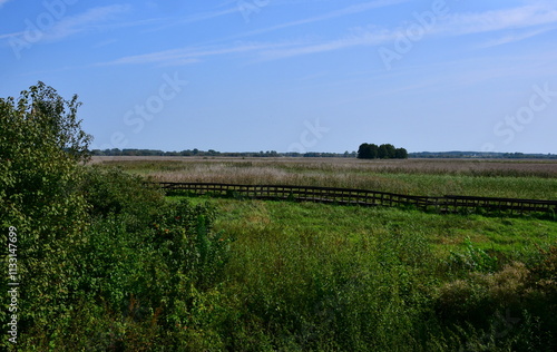 View of a vast meadow, field or pastureland covered from all sides with bushes, shrubs, herbs, and other flora, with a long wooden path with wooden handles running across it seen on a sunny summer day photo