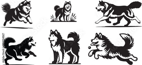 Bundle of six Alaskan Malamute silhouette vector illustrations.