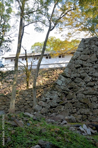 宇和島城 旧山里倉庫と藤兵衛丸跡の石垣 photo