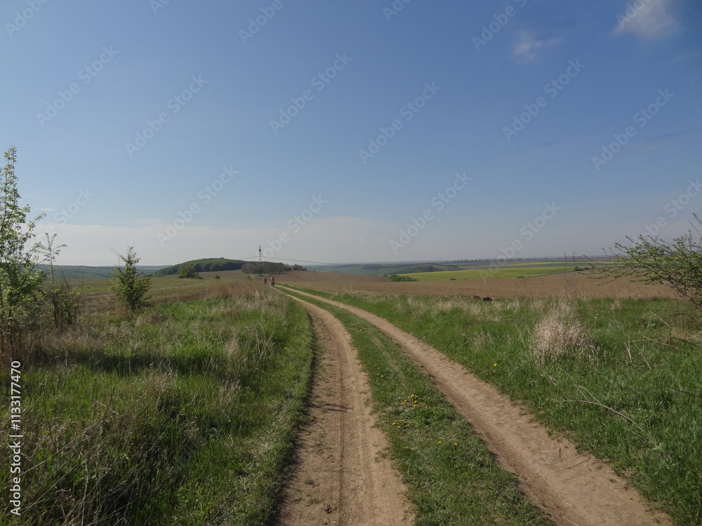 Fototapeta premium Carpathians views