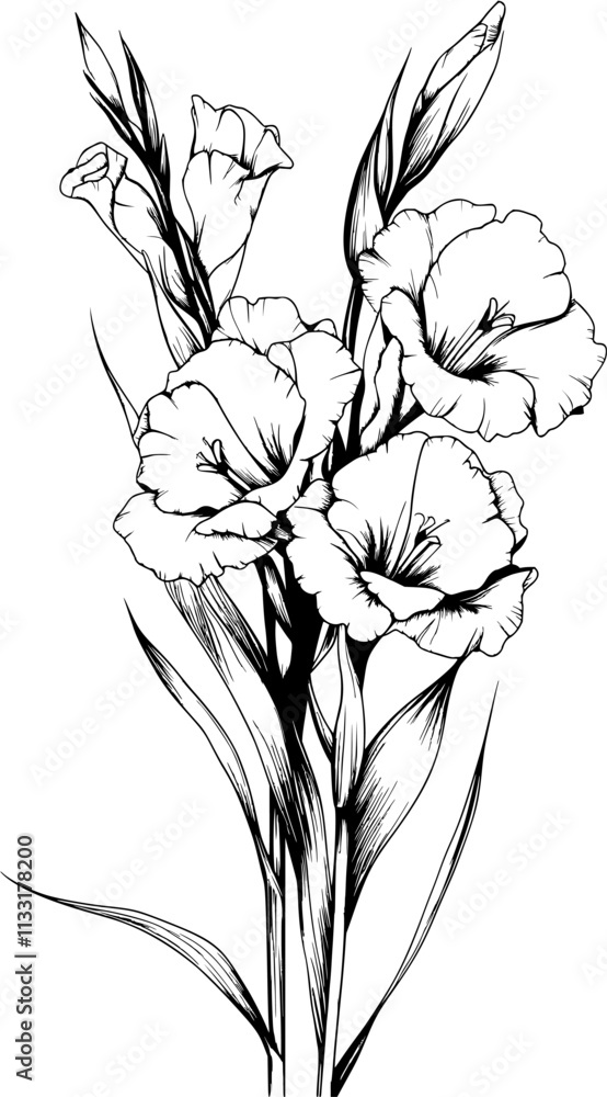 Obraz premium Gladiolus Vector, Gladiolus Outline Art, Gladiolus Flower Illustration, Gladiolus Sketch, Floral Gladiolus Design, Botanical Gladiolus Clipart, Gladiolus Bloom Vector, Elegant Gladiolus Drawing