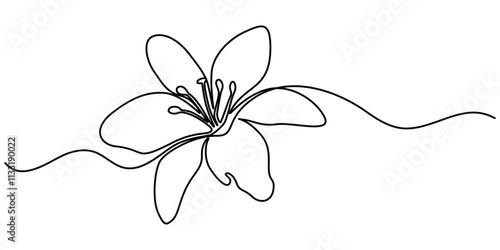 abstract lily flower,continuous single line art drawing sketch, logo, Lily Continuous Line Drawing with Editable Stroke. Vector Pen and Ink Illustration, Continuous one line drawing beauty fresh.