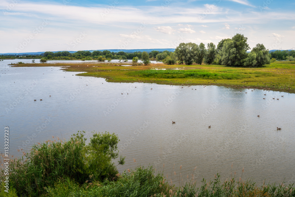 The nature conservation area bird island on Lake Altmühlsee